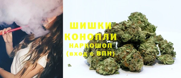 СК Балахна