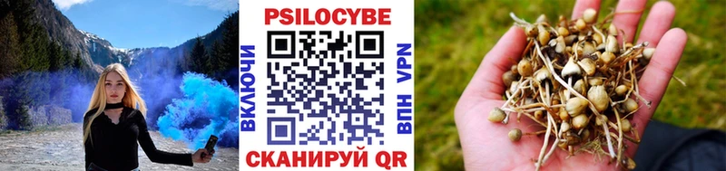 Псилоцибиновые грибы MAGIC MUSHROOMS  даркнет сайт  Суздаль 